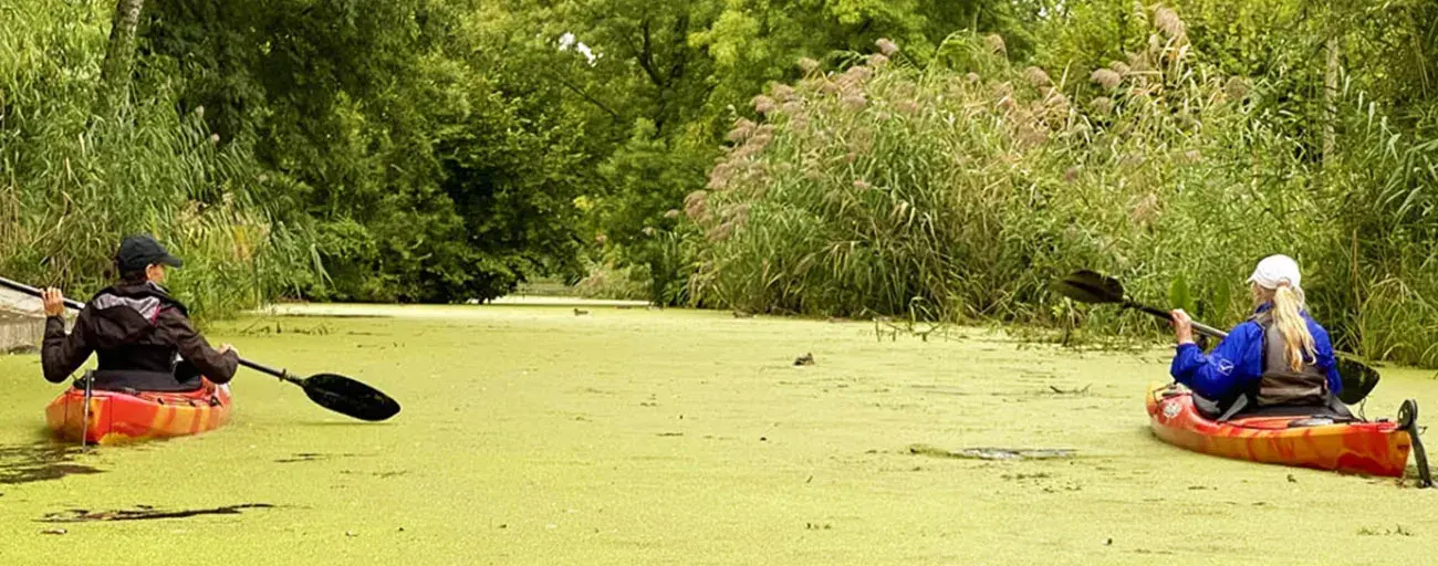 Angyali-sziget kerülő élménytúra – Ráckeve rejtett kincsei