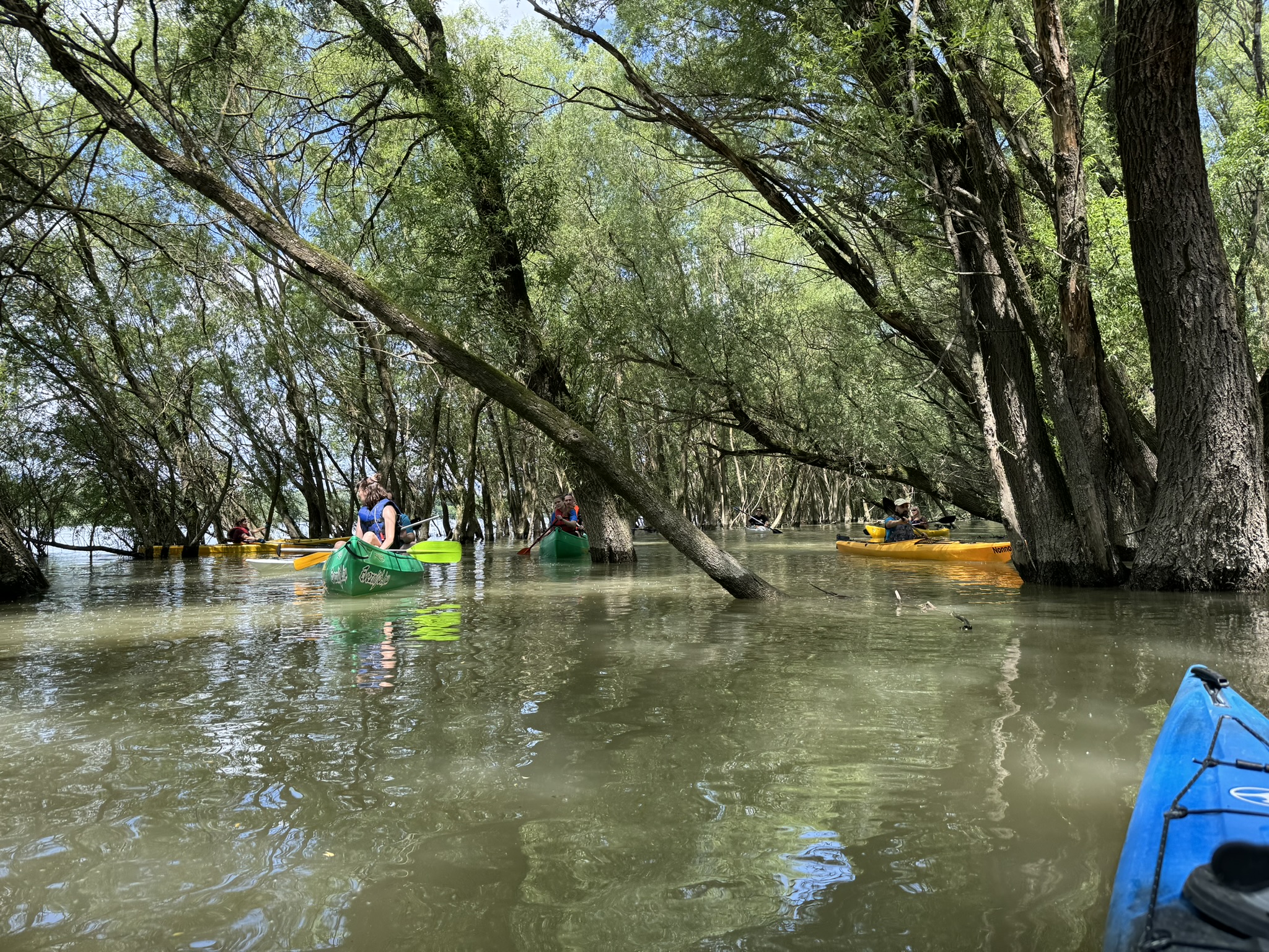 vizi csapatépítés  nagy létszámra